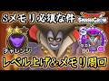 DQSG メモリS必須!りゅうおうチャレンジでレベル上げ&メモリ周回!ドラクエスマグロ 攻略【メイルス】【Dragon Quest Smash Grow】