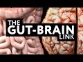 Gut-Brain link