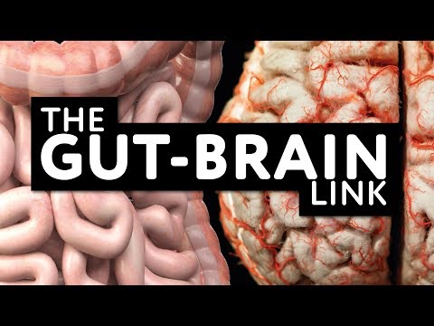 Gut-Brain link