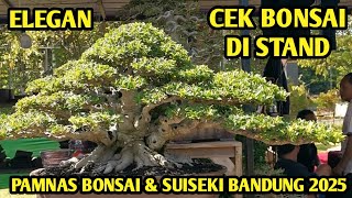 Download Lagu CEK CEK BONSAI DI STAND \ MP3