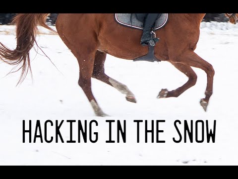 Hacking in the snow @hesteline