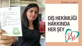 DİŞ HEKİMLİĞİ HAKKINDA HER ŞEY | ve çapa