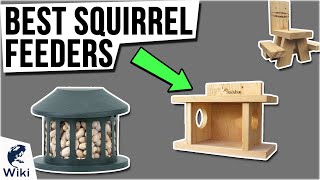 10 Best Squirrel Feeders 2021