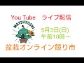 続きです5月3日（日）【盆栽オンライン競り市】午前１０時頃〜