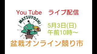 続きです5月3日（日）【盆栽オンライン競り市】午前１０時頃〜