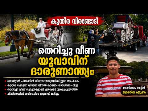 നിമിഷത്തെ അശ്രദ്ധ ജീവന്‍കൊല്ലിച്ചു | New York Central Park Horse Carriage Accident വിനാശകരമായ അപകടം