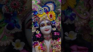 Iskcon Vrindavan Today Beautiful Darshan 03.05.2026 #mayapur #krishna #radhe #radha #shyam #shorts