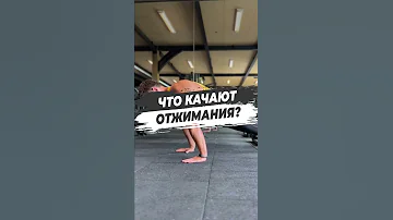 ЧТО КАЧАЮТ ОТЖИМАНИЯ?
