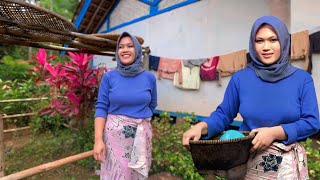 A Beautiful Polite Village Widow Left By Her Husband Was Cared Over By Her Grandmother From He