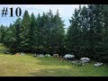 Extra Drone Footage #10: Pacific Northwest - PNW - DJI Mavic 2 Pro - AMAZING BEAUTIFUL FOREST