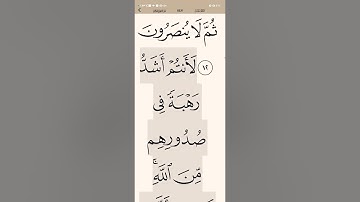 059 سورة الحشر11/16 مفهوما