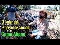 El Poder del Estiércol de Ganado Como Abono