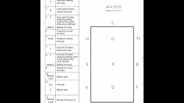 NEW USDF 2023 Intro C *Read Through*