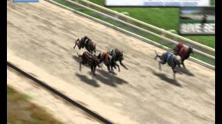 Inspired Virtual Greyhound Racing screenshot 5