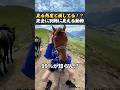 見る角度で損してる！？完全に別物に見える動物 #ほっこりショート #動物 #あるある #雑学