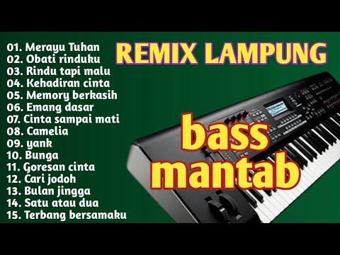 REMIX LAMPUNG SPESIAL YANG LAGI VIRAL 2025 COVER ( CANTIKA ELEKTUN )