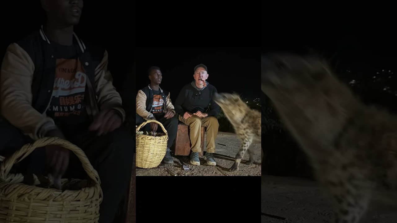 Phils Guide to the World! - Solo in 'Hyena City'