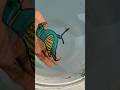Interesting 🤔 Parrot 🦜 Drawing 😍 || making On Hand 👏 || Float On Water 💦💦 #art #shorts #ashortaday