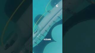 Swimming, crawling, and sliding across water, can a robot do all that?🌊