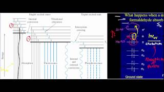 Information Internal Conversion and Photoprotection: Applications in Biochemistry Guide