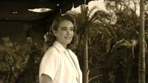 Sakurai Band - The Legend of Seaweed Man (Music Video)