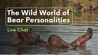 The Wild World of Bear Personalities | Brooks Live Chat