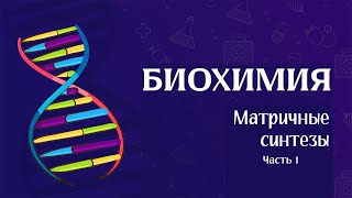 Биохимия | Матричные биосинтезы (репликация)