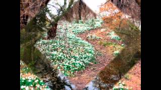 Magyarország Nemzeti Parkjai - Duna-Ipoly - Nemzeti Park.wmv