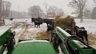 1st frigid temperatures of 2024 moving through Tennessee and what we do to prepare for it. by Long Farms 1,168 views 4 months ago 8 minutes, 6 seconds