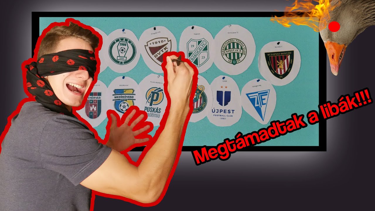 Dartsszal döntöttük el hogy melyik NB1-es focimeccsre megyünk! #1 *Megtámadtak a libák* | Félidő!