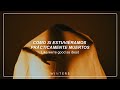 coldrain - Picture Perfect Hell (Lyrics/Sub Español)