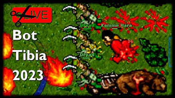 Aproveitei a invasão de dryads para matar os BOTS do tibia global em 2023