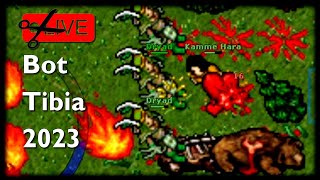 I took advantage of the dryad invasion to kill BOTS in Tibia global in 2023
