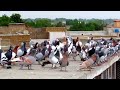 saifullah ke khubsorat kabootar video lovely pigeons kabotar bazi