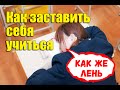 Как заставить себя учиться. Драгонзакура