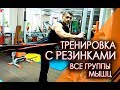 15 Упражнений с резинами на все группы мышц. Фитнес дома