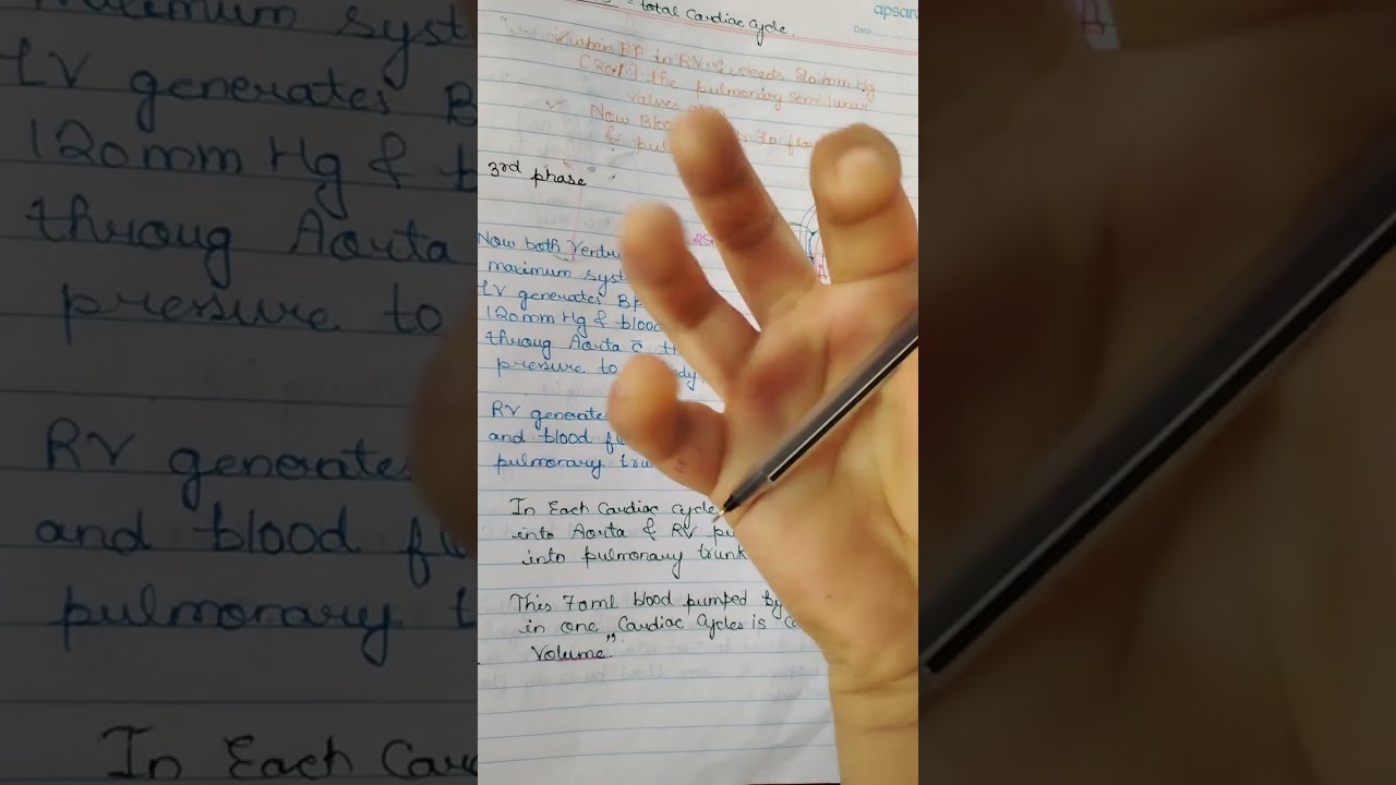 Cardiac cycle 🫀🚲e  quick 