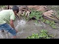 My first vlog 🤪🤪😜 click the video 😜😜 আমার প্রথম ব্লগ মাছ ধরা 😁😁 #rcbo #fishing #rcbc