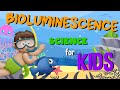 Bioluminescence Quiz