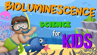 Bioluminescence | Science for Kids