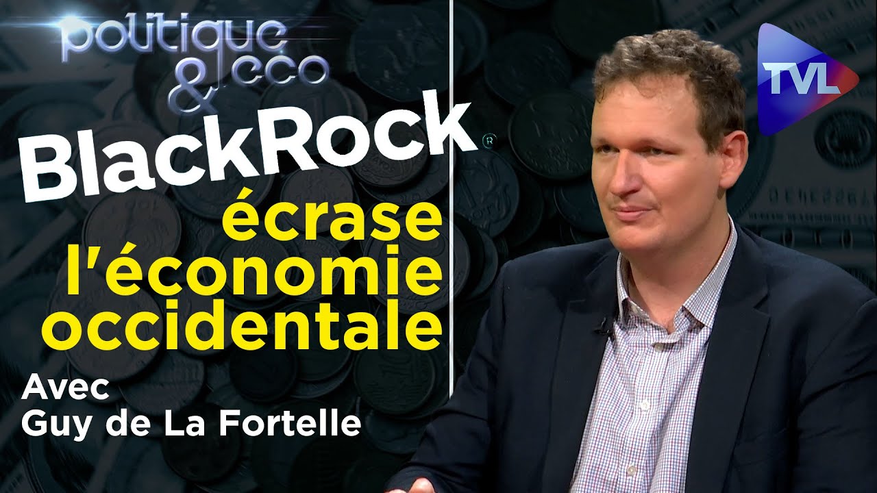 BlackRock la nébuleuse du scandale (1ère partie) Politique & Eco n