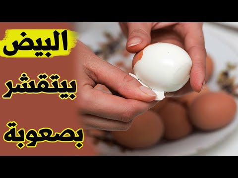 فيديو: كيفية تبريد البيض المسلوق بسرعة بعد الغليان حتى ينظف جيدًا