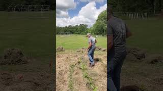 From Lawn Waste to Garden Gold: How Grass Clippings Become Powerful Mulch