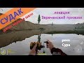 Русская рыбалка 4 - река Сура - Осваиваю джиг на течении: судак