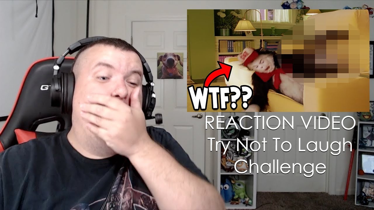 THE CAT IN THE HAT Unnecessary Censorship W14 Reaction Video