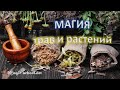 Магия трав и растений