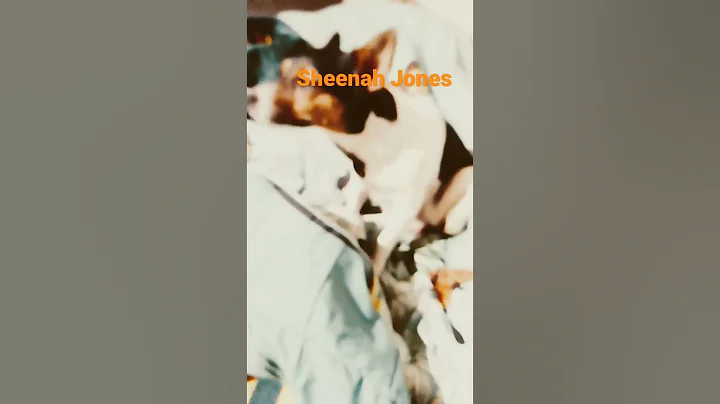 7 October 2022