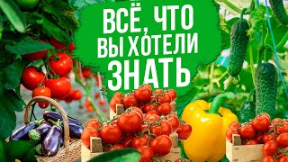 Отвечаем на вопросы по выращиванию овощей!