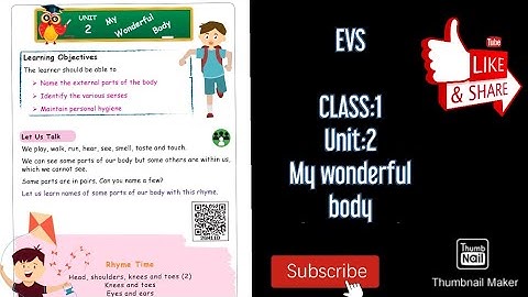 EVS|class:1| Unit:2 My Wonderful body| My senses