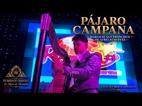 PÁJARO CAMPANA – Mariachi San Francisco de Aurelio Aceves | Live at Roccapulco
